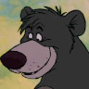 Meet your Posher, Drew